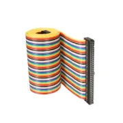 1Pack 64 Pins IDC Wire Flat Ribbon Cable 58.3 Inch 2.54cmm Pitch Type C