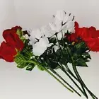 Fake Roses