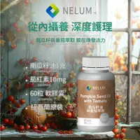 在飛比找蝦皮購物優惠-現貨速發 南瓜籽油 1000 mg 60顆 120顆 Nel