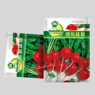 🔥櫻桃蘿蔔🔥A54 蘿蔔種子 櫻桃蘿蔔種子 一袋5g約500粒 蔬菜種子 原廠包裝 對版出貨 發芽率高95%