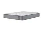 Sealy Back Support Harmony Deluxe Mattress - Long Single / Firm
