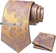 [JEMYGINS] Men's Paisley Tie Set with Tie Clip and Pocket Square