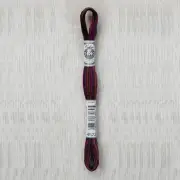 DMC Coloris Thread - 4522 Nuit Canadienne 8m Skein