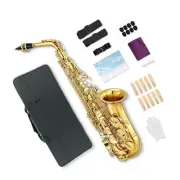 Eb Flat Alto Gold Saxophone with Carry Case & Accessories For Beginner