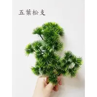 在飛比找蝦皮購物優惠-《 芳馨花園》仿真草【五葉松 黑松 柏葉】松樹 柏樹 攝影道