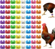 80 Placas para marcar gallos gallinas pollos pinches anillos accesorios 16mm