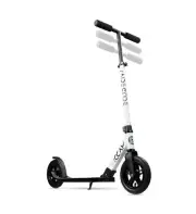 scooter adult