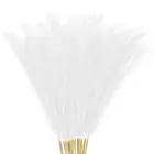 20-Pack Faux Pampas Grass 21.7 Inch for Home Decor/Wedding [White]