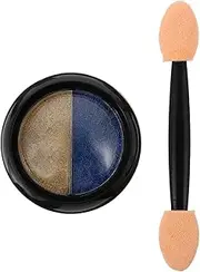 FRCOLOR 1set Nail Glitter Powder Brush Creative Manicure Art Powder for Stunning Nail Designs Portable Box for Salon Use