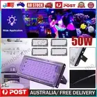 50W UV Black Lights Spotlights High Power LED Floodlight Party Light Waterproof
