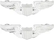 [SUPERFINDINGS] 2Pcs Wings Pin Silver Gold Pilot Wing Pin Pilot Costume Lapel Pin Pilot Badge Alloy Brooch Air Force Wing Pin Metal Aviator Wings Pin