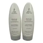 Nexxus Phyto Organics Enphuse Reconstructor 10.1 oz - Pack of 2 New
