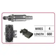 RAE Oxygen Sensor - OX738
