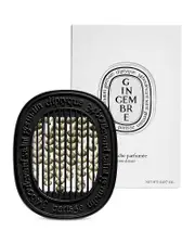 Diptyque Gingembre (Ginger) Diffuser Insert