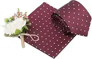 [DQT] Polka Dot Tie and Pocket Square Set for Men