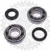 New Athena Crankshaft Bearing Kit Fits Derbi GPR 125 2T Nude