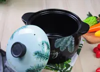 在飛比找樂天市場購物網優惠-韓式鋰瓷耐高溫熱帶雨林砂鍋燉鍋湯煲陶天然氣明火瓷