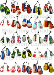 High Quality Country Flag MINI BOXING GLOVES - Rear View Mirror Gloves - New