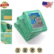 10mil Heavy-Duty Clear Green Tarp - Waterproof 8x20 ft - UV Resistant - 3-Pack
