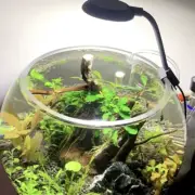 Fish Tank USB Small Clip Light Mini LED Lighting High Brightness Aquarium Water