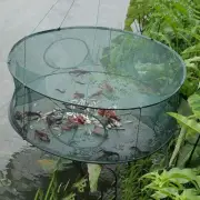 Foldable Large Fishing Net Fish Crab Yabbie Trap Minnow Crawfish Shrimp Cage Net