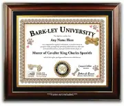 Cavalier King Charles Spaniel PERSONALIZED CERTIFICATE Diploma - Dog Lover GIFT