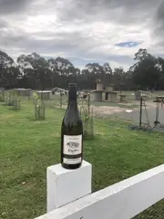 Royal Star 2019 South Australia Chardonnay (12 bottles)