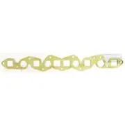 Platinum Extractor Gasket - HSM48