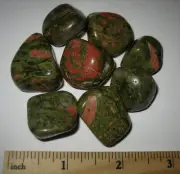 8 SMALL TUMBLED POLISHED NATURAL .8"-1" UNAKITE JASPER STONE MINERALS ~ 106.9g