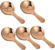 Zerodeko Mini Stainless Steel Spoons Set 5 Pcs Short Handle Salt Spoons for Loose Tea Leaves Honey Condiments