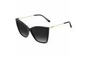 Ladies' Sunglasses Jimmy Choo SEBA/S Black Golden