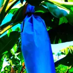 大自然有機資材#香蕉不織布套袋 藍色74CM*130CM 一束5個 抗UV 防日曬 耐雨性 防鳥食