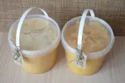 Wild Honey 100gr - 1.5kg from Natural Farm