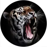 Slipmat Slip Mat Scratch Pad Felt for Any 12" LP DJ Vinyl Turntable Record Player Custom Graphical - Cat Tiger 1