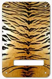 Stratocaster Tremolo Cover Custom Fender Graphical Guitar Back Plate Tiger Print