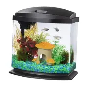 LED MiniBow Small Aquarium Fish Tank Kit with SmartClean Technology, Black,