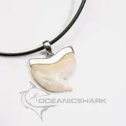 Tiger shark tooth sleek modern style zig zag gift s19