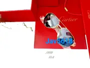 CARTIER SUNGLASSES SANTOS DUMONT SPECIAL EDITION GOLD TITANIUM PILOT TRINITY RAR