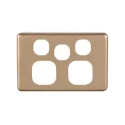 Classic Double Power Point with Extra Switch Cover Plate - Gold