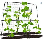 Cucumber Arch Trellis Lawn And Garden BRAND NEW