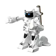 Competitive Fighting Boxing Remote Controlled Robot