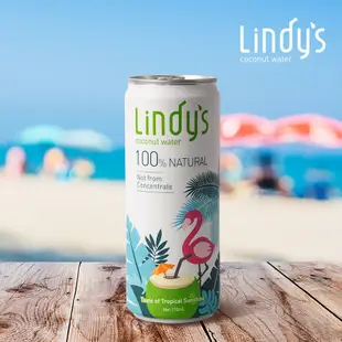 Lindy's 100%原味椰子水/ 310ml/ 24入