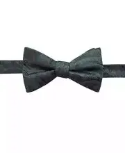 Ryan Seacrest Distinction Men’s Pre-Tied Dover Paisley Silk Bow Tie (Green)