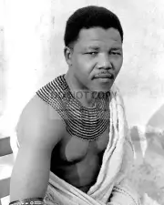 NELSON MANDELA - 8X10 PHOTO (DA-344)
