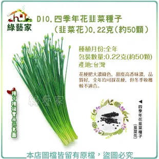 D10.四季年花韭菜種子(韭菜花)0.22克(約50顆)(花梗肥大濃綠色，甜度高香味濃，品質好，全年均可採花【綠藝家】