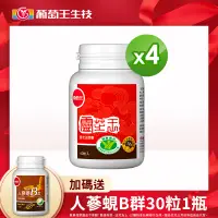 在飛比找神腦生活優惠-認證靈芝60粒X4瓶+贈人蔘蜆B群*X1瓶(調節免疫力健康食