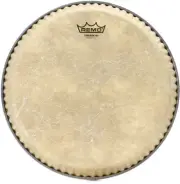 Remo Symmetry D2 Fiberskyn Conga Head - 10.75 inch (2-pack) Bundle