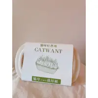 在飛比找蝦皮購物優惠-貓咪旺農場 貓草 貓咪毒品 小麥草 盆栽