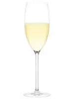 Plumm Vintage Sparkling Wine Glasses, Set of 2