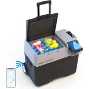 ACOPOWER LiONCooler Pro 40L Car Freezer, Solar Cooler with APP Control and Strong Compressor, -15°C-20°C Portable Refrigerator